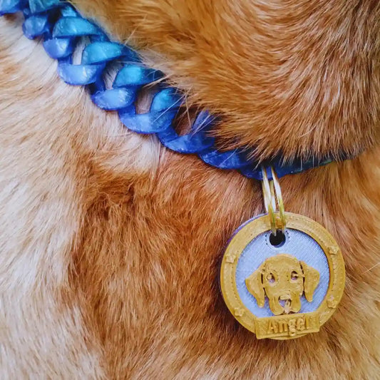 placas de identificación para perros y gatos linea honor
