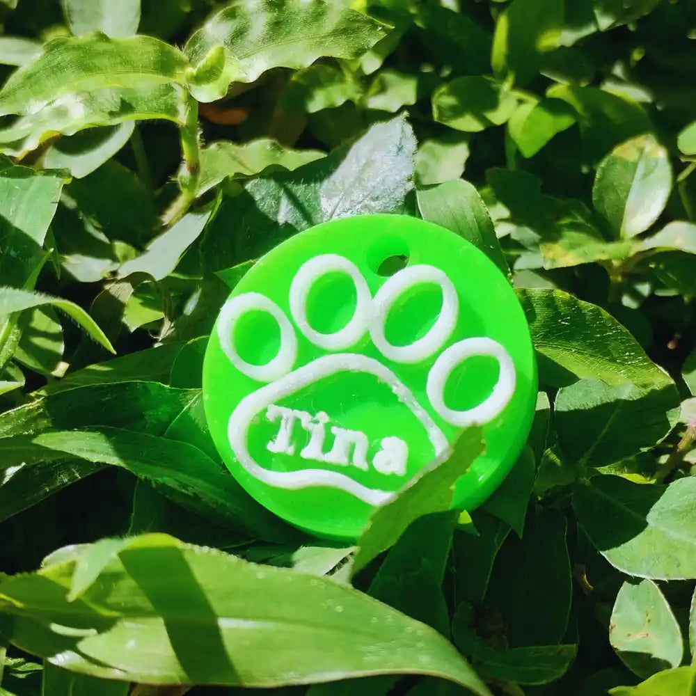 placas de identificacion para perros y gatos | linea esencial